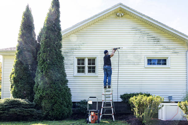 Best Building Exterior Washing  in Montgomery, TX